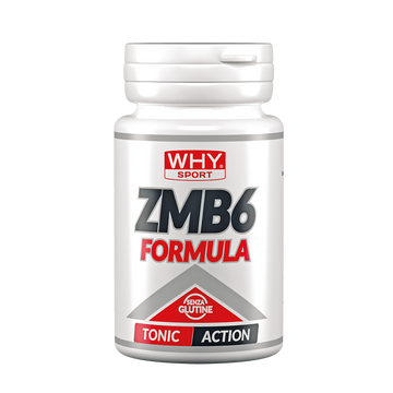 ZMB6- WHY SPORT