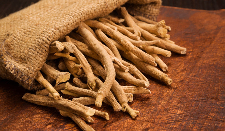 Tonici adattogeni: cosa sono e come agiscono sullo stress