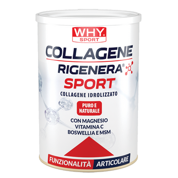 Collagene Rigenera Sport 336g - WHY SPORT